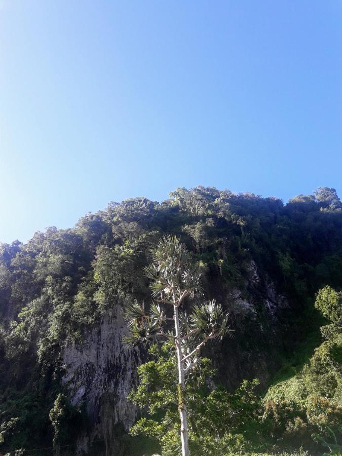 Bunga-Lodge Vanille Saint-André Dış mekan fotoğraf