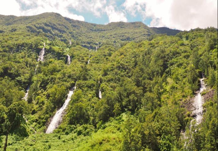 Bunga-Lodge Vanille Saint-André Dış mekan fotoğraf